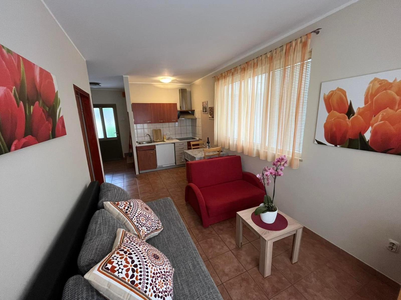 Family Apartments Suzi Rovinj Bagian luar foto